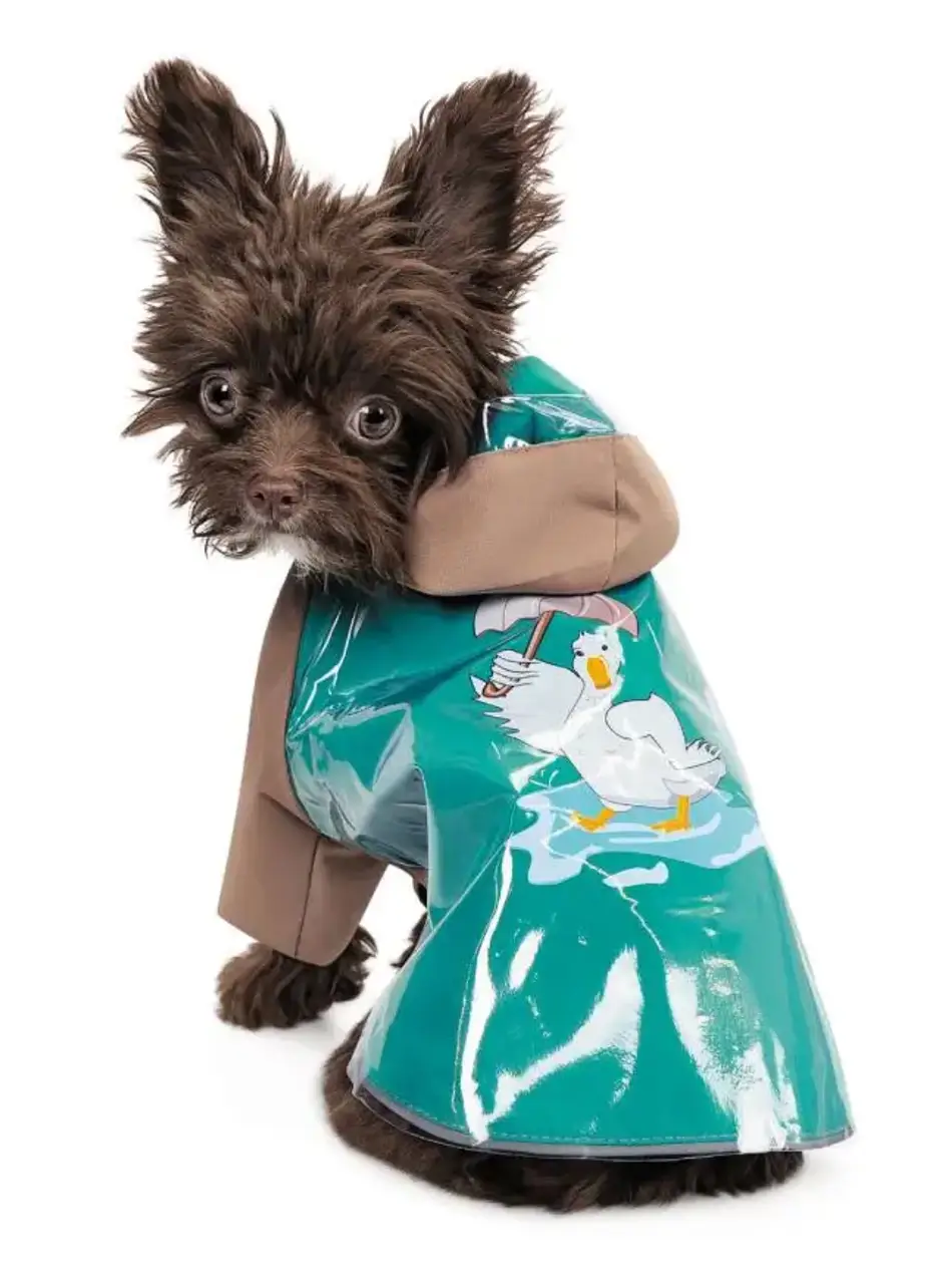 Дождевик для собак Pet Fashion Semmy М1